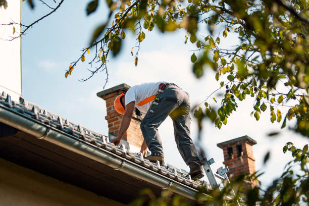 Best Metal Roofing Contractor  in Walworth, WI